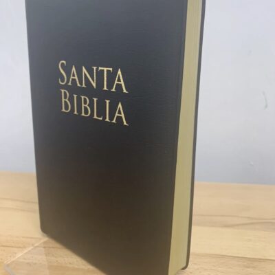 RVR 1960 Spanish Bible, large print, leather cover